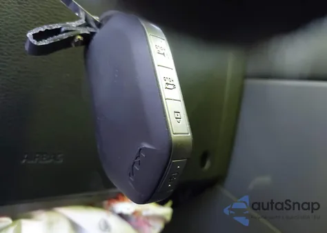 2024 Kia Telluride Sx Prestige из США, поврежденный, VIN 5XYP5DGC1RG461593